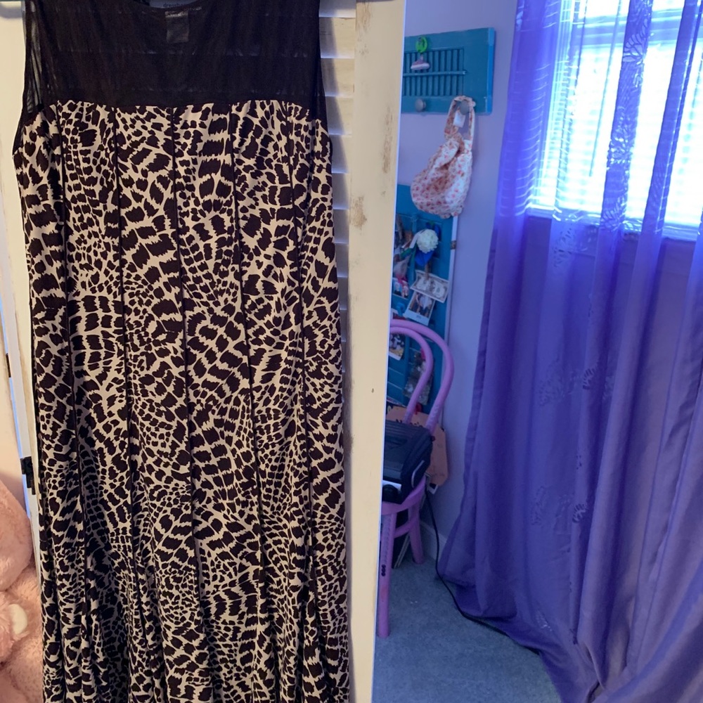 Dresses - Picture 5 of 5